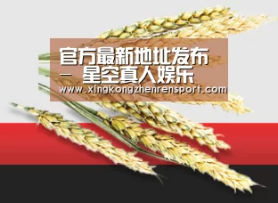 官方最新地址发布 - 星空真人娱乐
