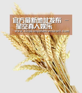 官方最新地址发布 - 星空真人娱乐
