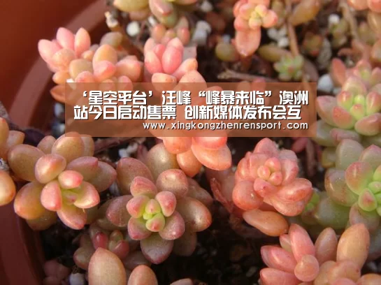 ‘星空平台’汪峰“峰暴来临”澳洲站今日启动售票 创新媒体发布会互动模式(图4) 星空下载