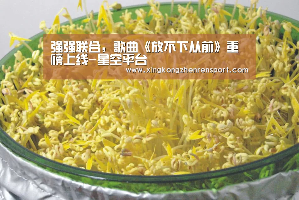 强强联合,歌曲《放不下从前》重磅上线-星空平台(图1) 星空官方