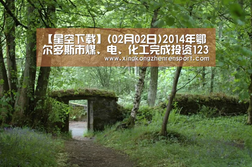 【星空下载】(02月02日)2014年鄂尔多斯市煤、电、化工完成投资1236亿元(图4) 星空官方