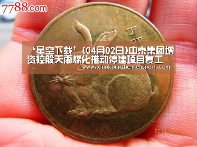 ‘星空下载’(04月02日)中泰集团增资控股天雨煤化推动停建项目复工(图4) 星空平台