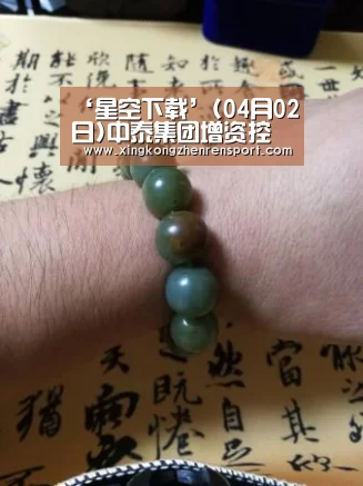 ‘星空下载’(04月02日)中泰集团增资控股天雨煤化推动停建项目复工(图2) 星空平台